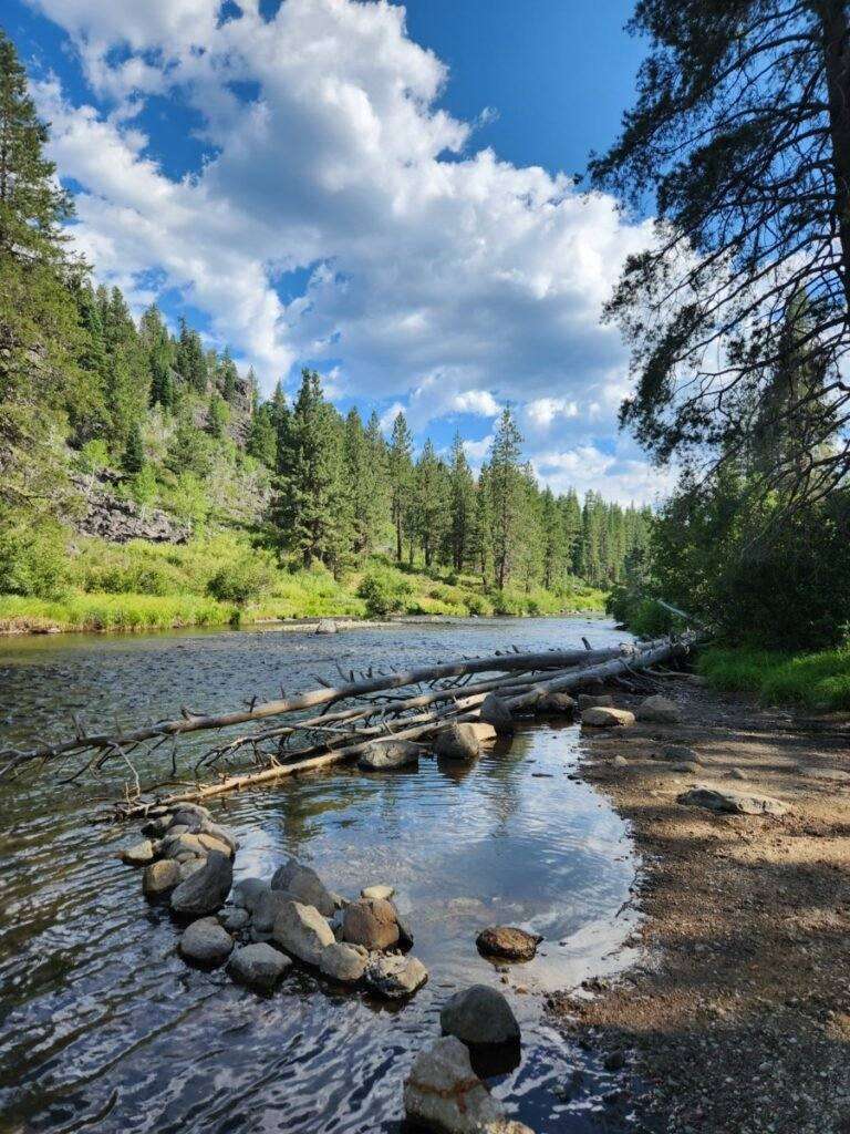 The Truckee River near Granite Flat