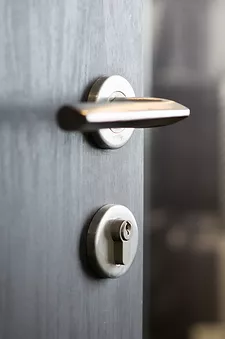 Door lock and deadbolt lock